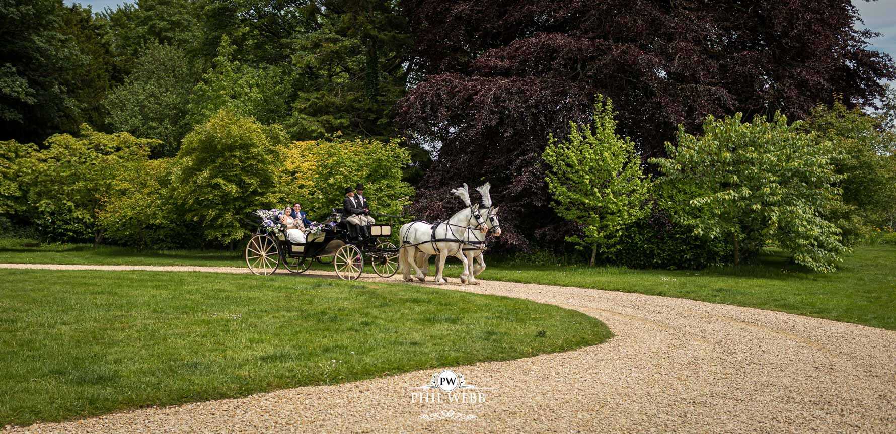 The Matara Centre Wedding Photography bride and groom portrait with horse and carriage