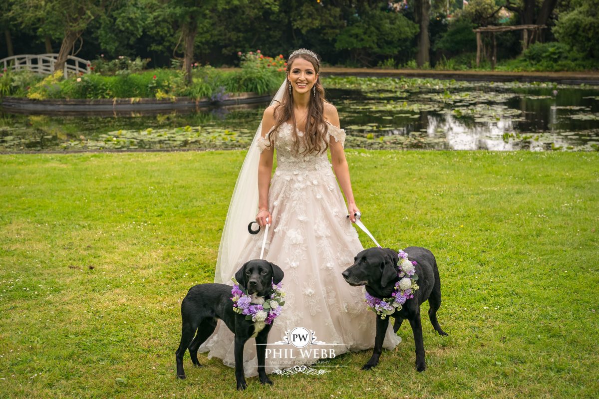 Clevedon Hall Wedding Photography bride and dogs portrait